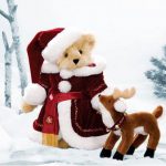 gau bong teddy christmas 150x150 - Thông tin thị trường nước nóng lạnh
