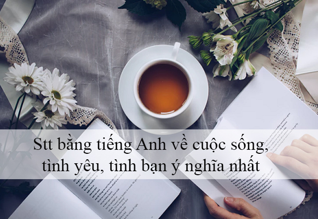 Stt bằng tiếng Anh ngắn hay về cuộc sống và tình yêu