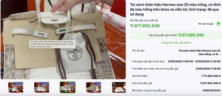 Đấu giá thành công 2 túi Hermès bạch tạng của Trương Mỹ Lan, thu hơn 14 tỷ đồng