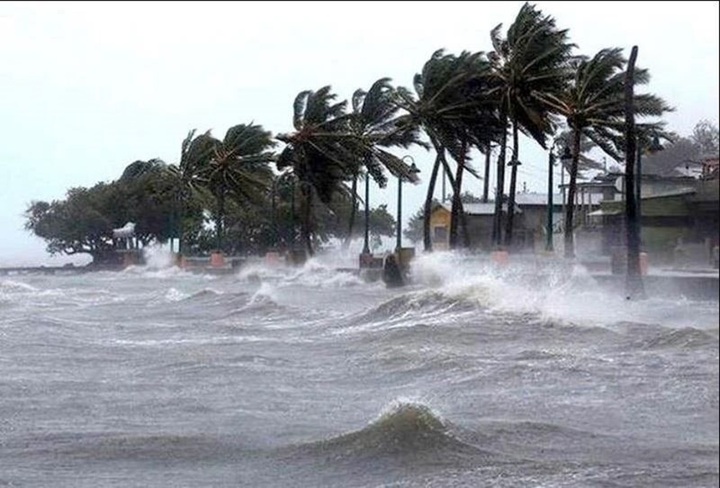 Bão số 1 Maysak giật cấp 11 trên khu vực ven biển Quảng Ninh, biển động rất mạnh